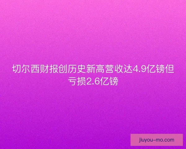 切尔西财报创历史新高营收达4.9亿镑但亏损2.6亿镑