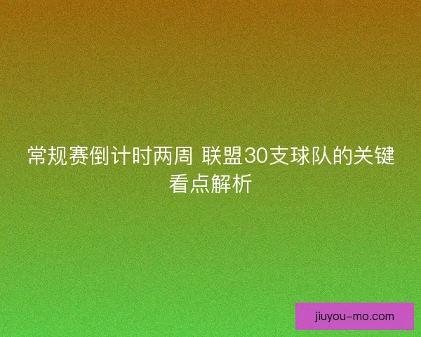 常规赛倒计时两周 联盟30支球队的关键看点解析
