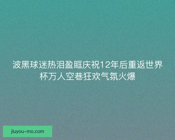波黑球迷热泪盈眶庆祝12年后重返世界杯万人空巷狂欢气氛火爆