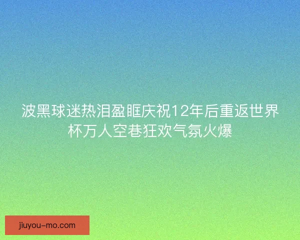 波黑球迷热泪盈眶庆祝12年后重返世界杯万人空巷狂欢气氛火爆